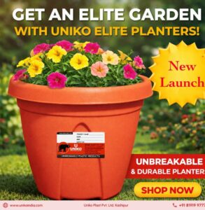 Screenshot_20260317_160503_WhatsApp