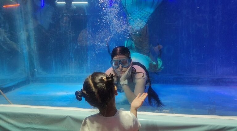 Screenshot_20260325_225748_WhatsApp