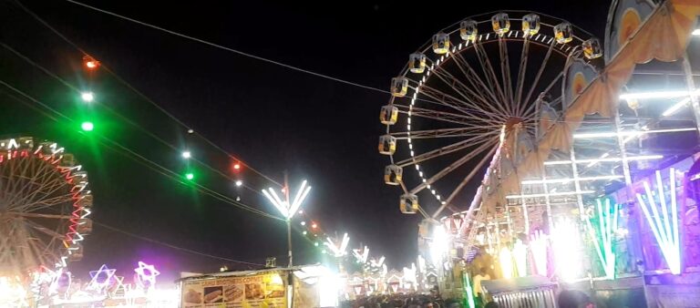 Screenshot_20260331_123427_Gallery